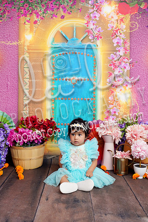 DSC02142