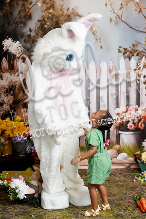 DSC08798