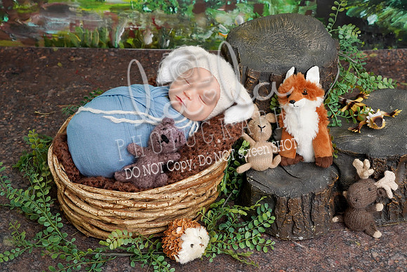 DSC01943