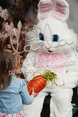 DSC06940