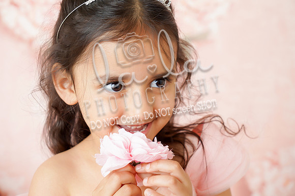 DSC07971