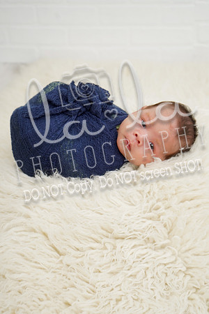 DSC04855