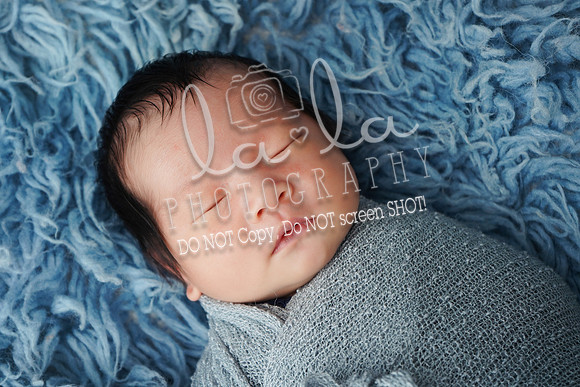 DSC09677