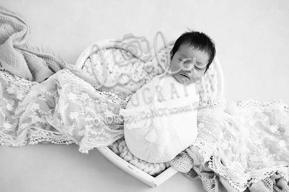 DSC07874 copy