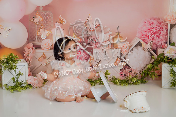 DSC07406