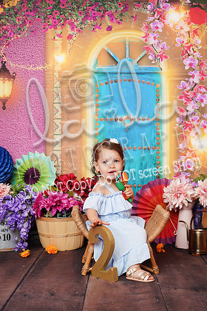 DSC00543