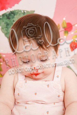DSC00300