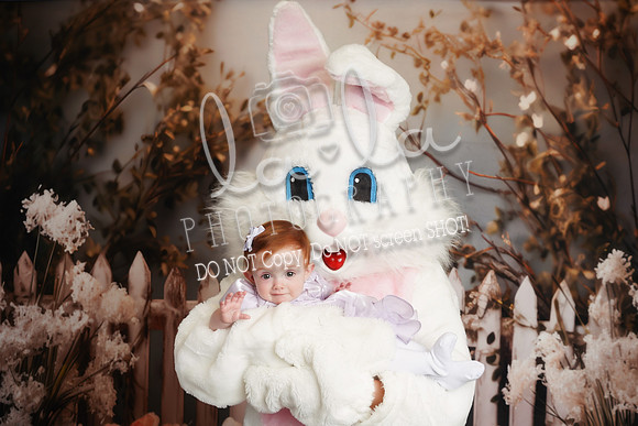DSC04220