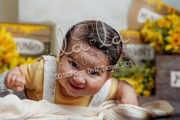 DSC03342edit