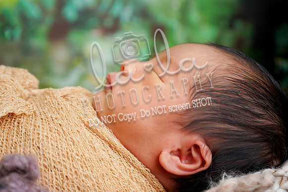 DSC01482