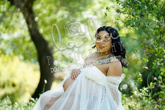 DSC03534