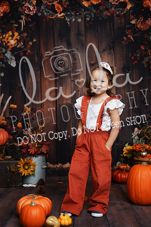 DSC02297