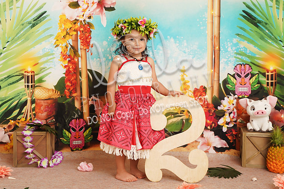 DSC03350