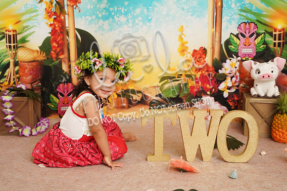 DSC03358