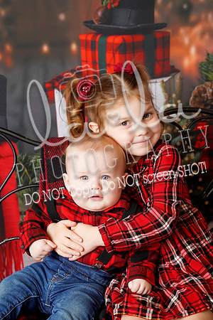 DSC03187