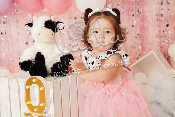DSC08581_1