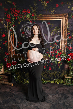 DSC02590
