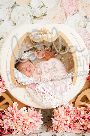 DSC09481