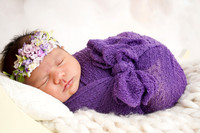 DSC09536