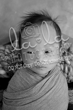 DSC01482