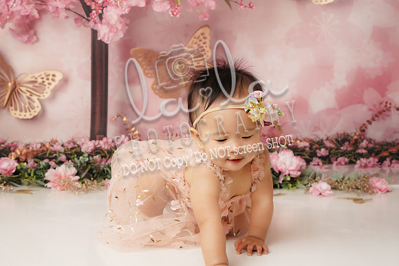 DSC01098_1