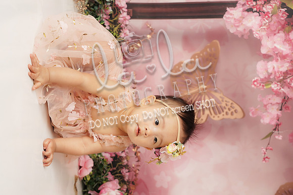 DSC01076_1