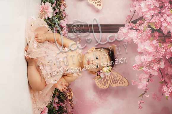 DSC01071_1
