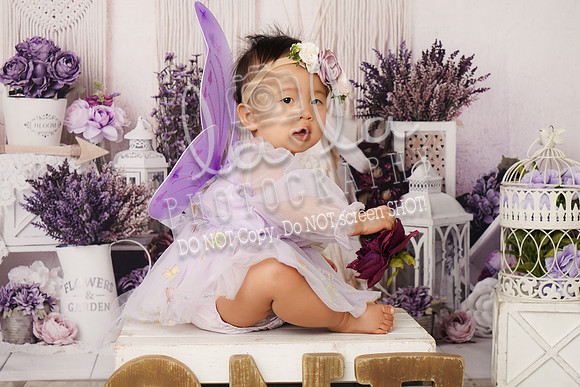 DSC00825_1