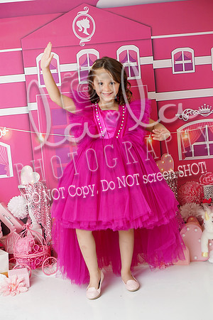 DSC03249