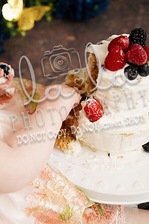 DSC04964