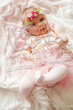 DSC08528