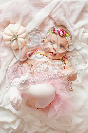 DSC08560