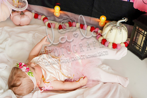 DSC08600