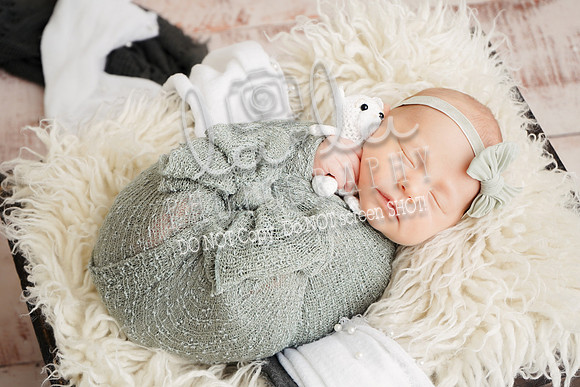 DSC03951