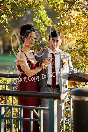 DSC00085