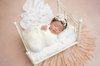 DSC06429