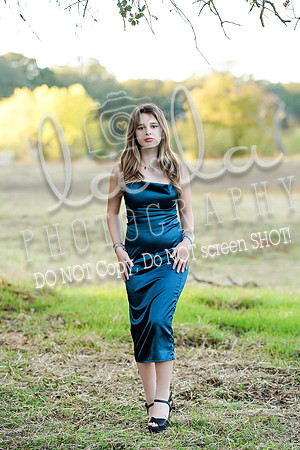 DSC07029