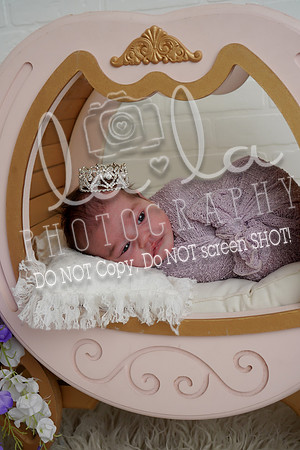 DSC08145