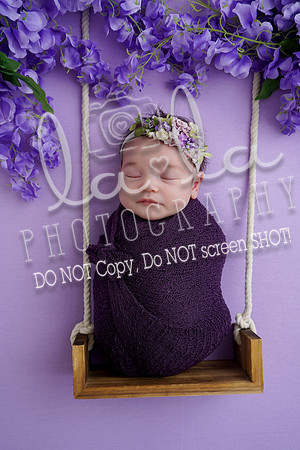 DSC08161