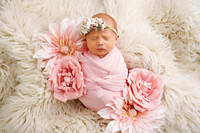 DSC00245
