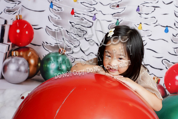 DSC04833