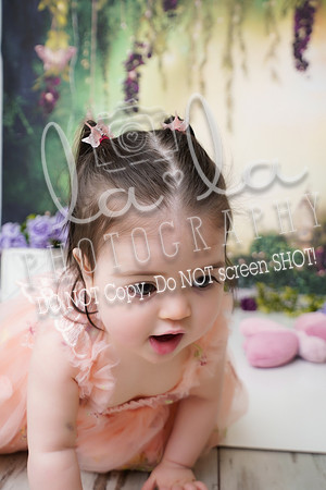 DSC04140