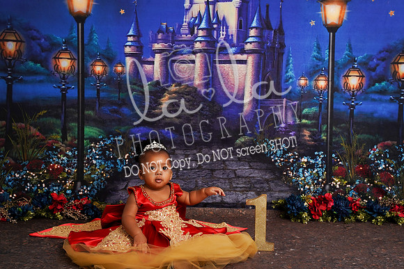 DSC08054