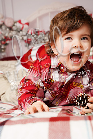 DSC07227