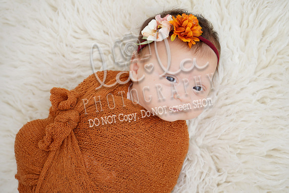 DSC07643