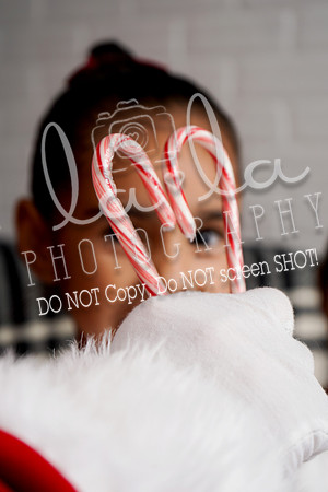DSC06209