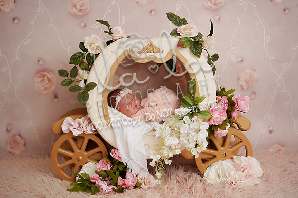 DSC05221