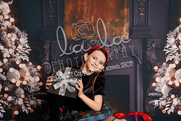 DSC03401