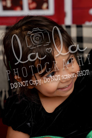 DSC08233