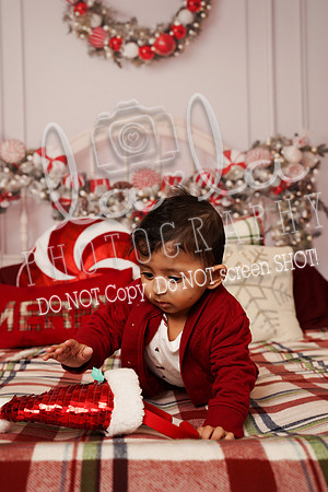 DSC02769_1